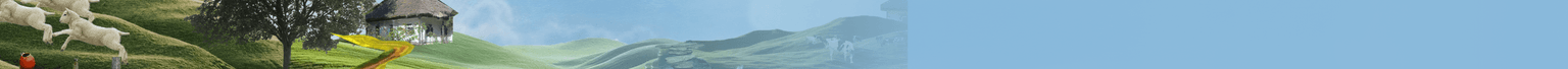 Dare to Ukraine top banner background image