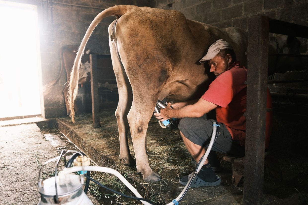 Vitalii, 45, a farmer from the village of Ivanivka, Ukraine, on June 30, 2024.