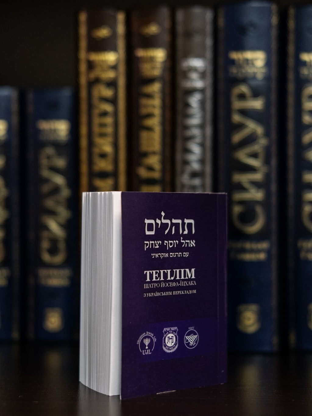 In bomb shelters and without power, Ukrainian Jews translate the Torah ...