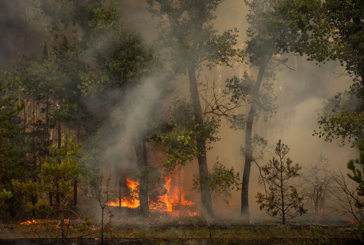 A forest burns after Russian shelling in Raihorodok, Donetsk Oblast, Ukraine, on July 19, 2024. 