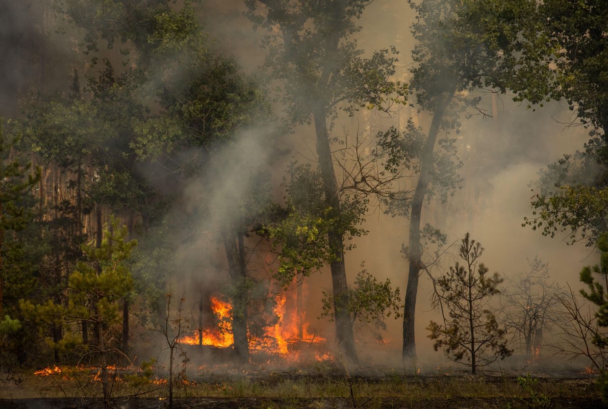 A forest burns after Russian shelling in Raihorodok, Donetsk Oblast, Ukraine, on July 19, 2024. 