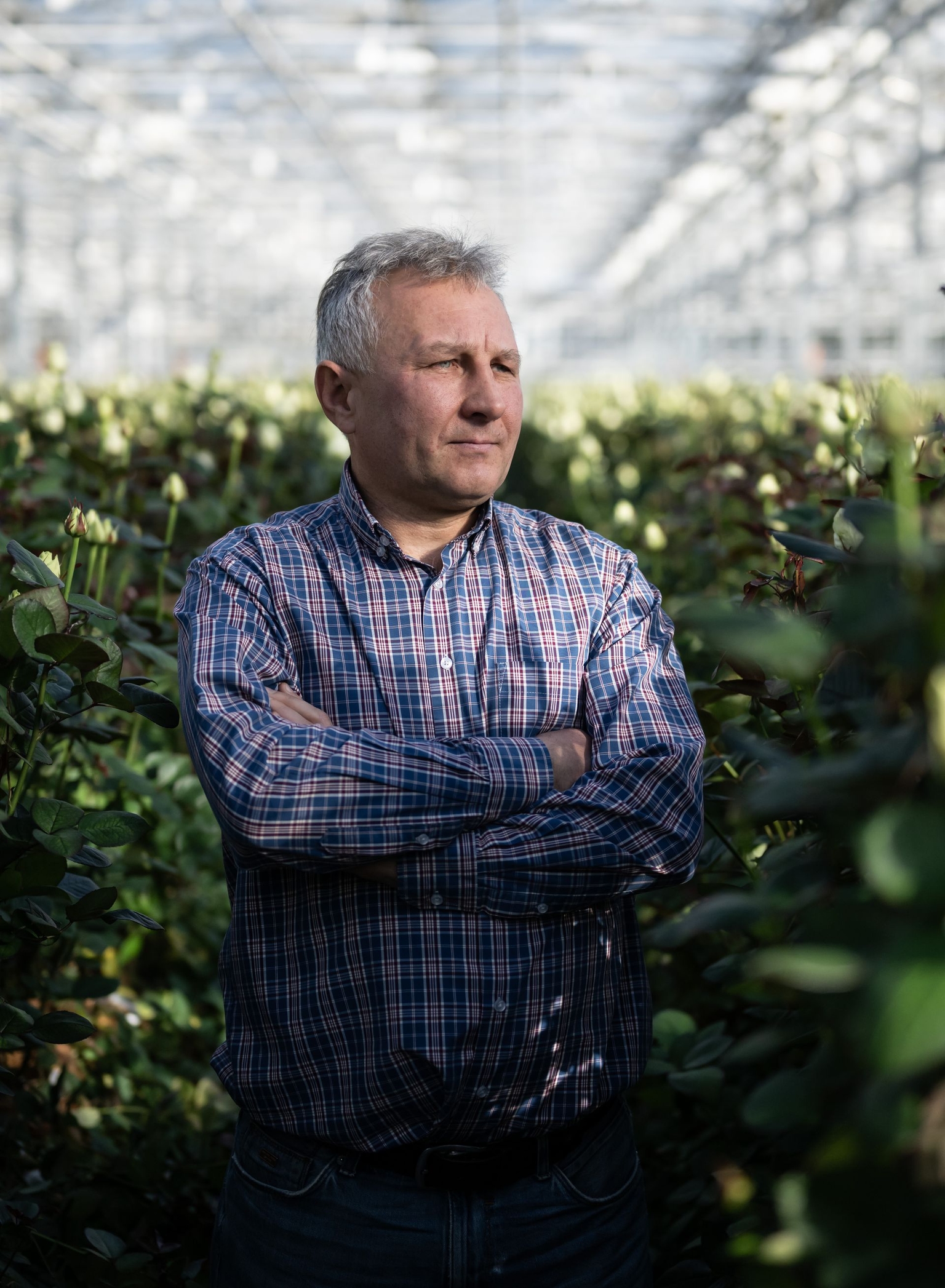 Ivan Syvak, deputy chief agronomist at Ascania-Flora, in one of its greenhouses near Kyiv, Ukraine, on Nov. 7, 2024.