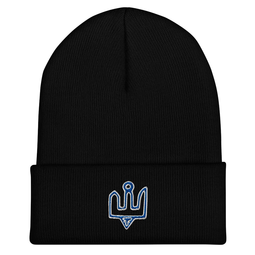 Ancient Coins tryzub beanie Kyiv Independent merch