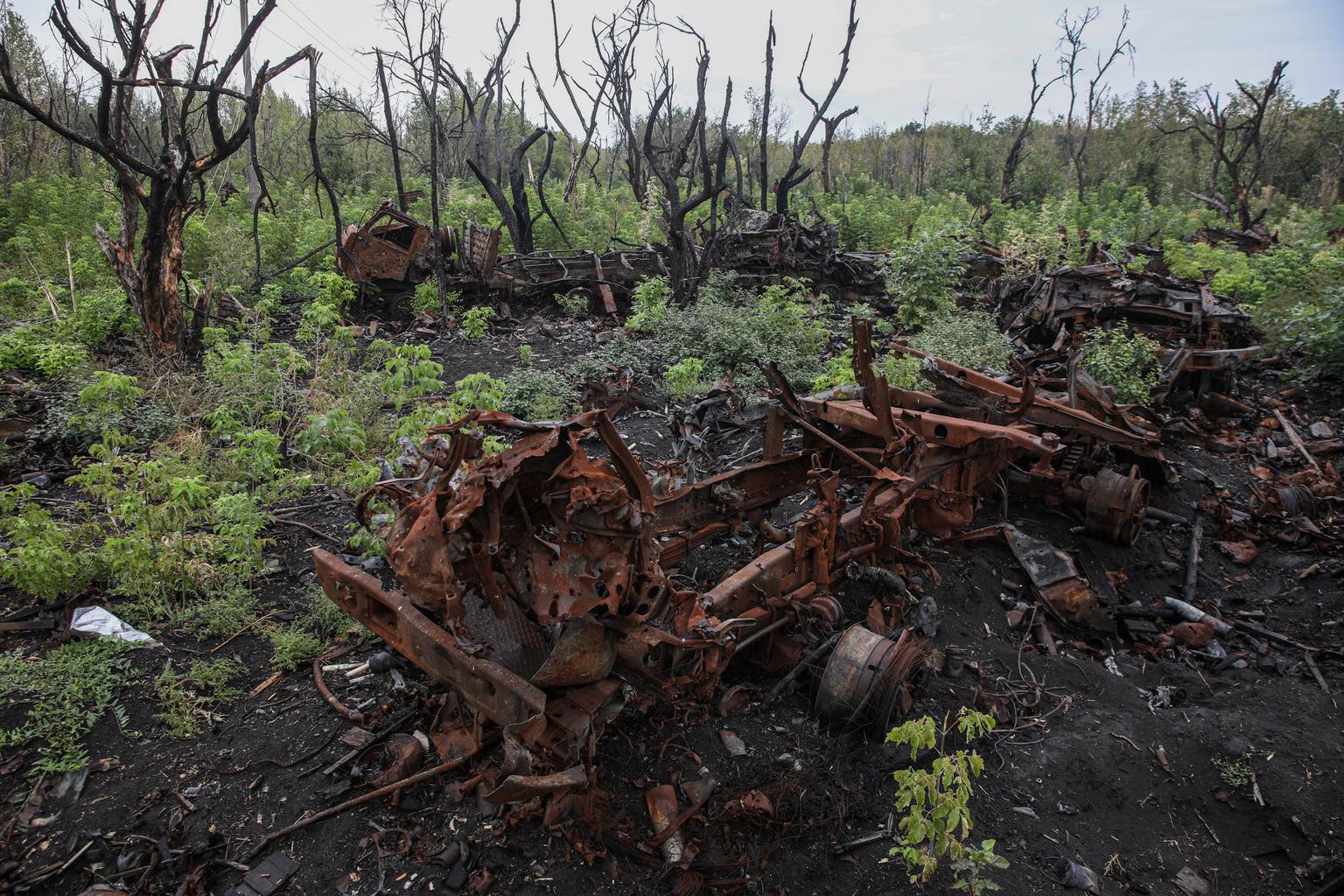 Minister: Russia's war has caused $56 billion in environmental damage