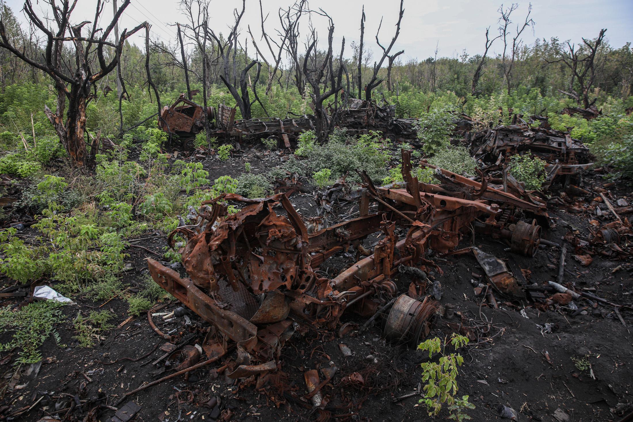 Minister: Russia's war has caused $56 billion in environmental damage