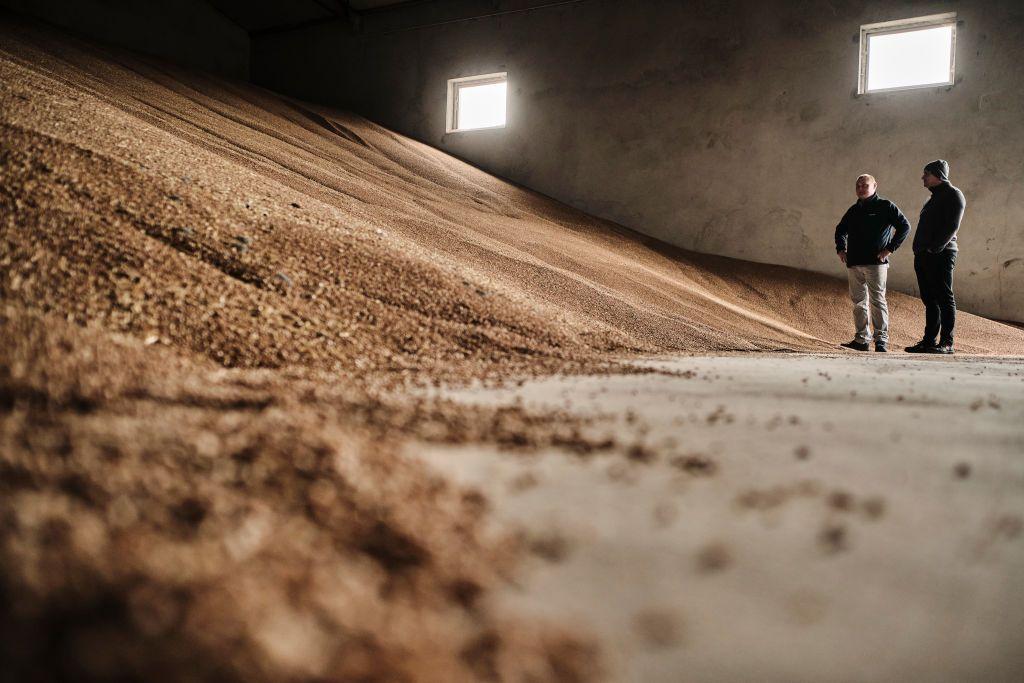 EU Commission expects Ukraine's grain import to resume on May 2, allowing ban on five products