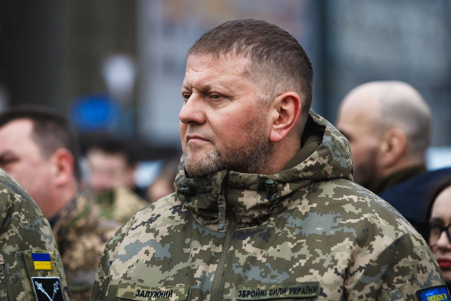 Zaluzhnyi: Counteroffensive underequipped but advances daily