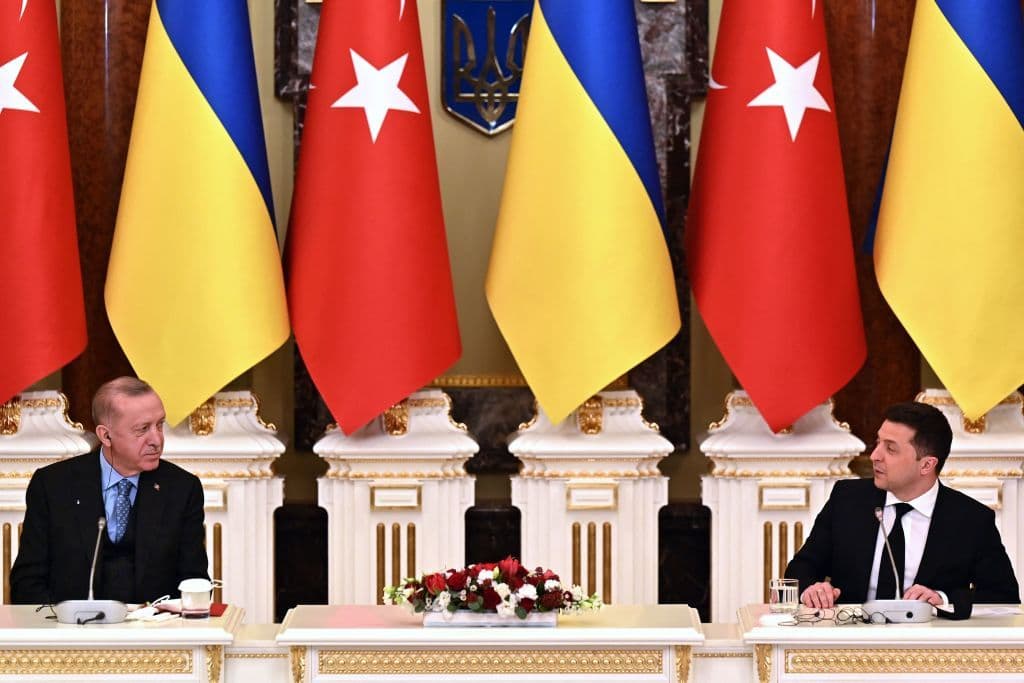 Zelensky, Erdogan to meet in Istanbul