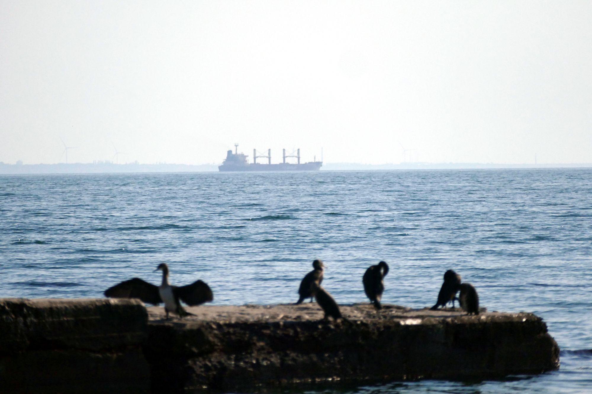 UK Defense Ministry: Russian navy changes posture to blockade Ukrainian ports