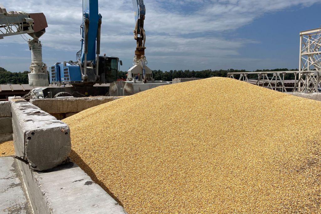 Kuleba: Croatia to help export Ukrainian grain through its ports