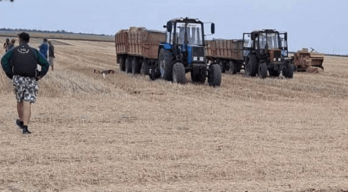 Unexploded cluster round kills farmer, wounds another in Mykolaiv Oblast
