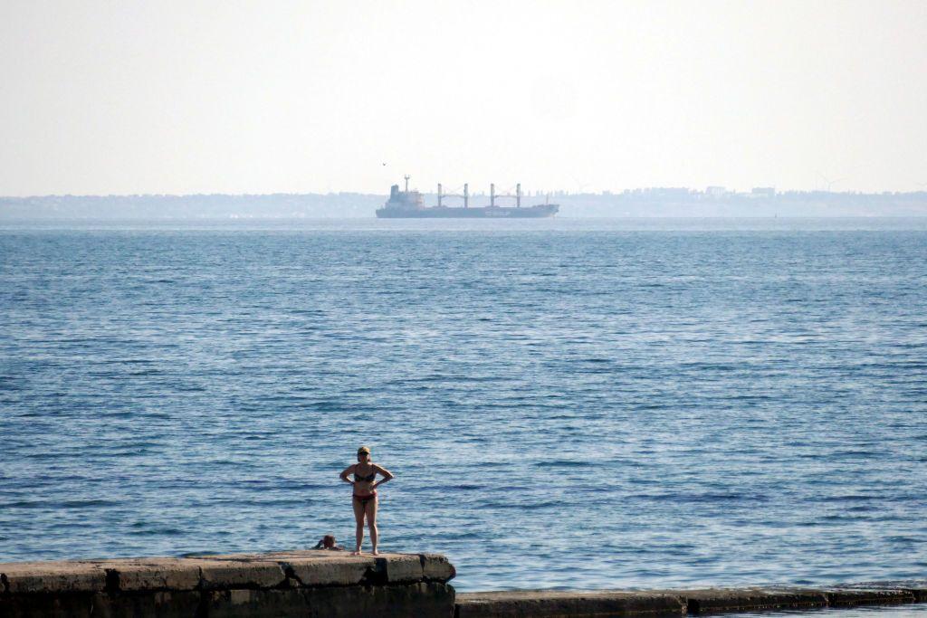 Minister: Odesa port exports in January almost at pre-war levels