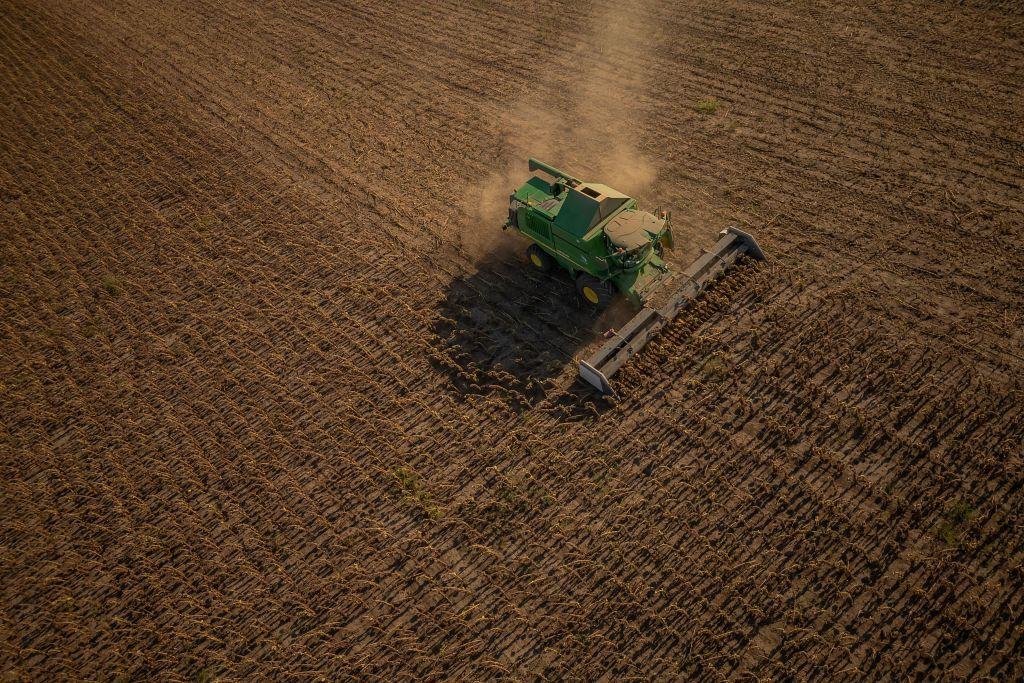 Ukraine ready to take neighbors to court as continued grain bans threaten exports