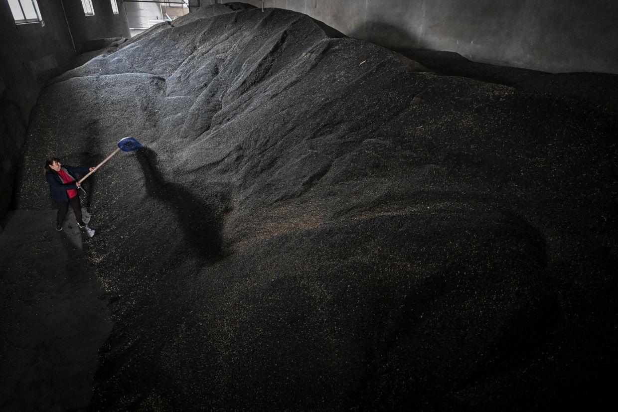 Bulgaria's Parliament votes to end Ukrainian grain import ban