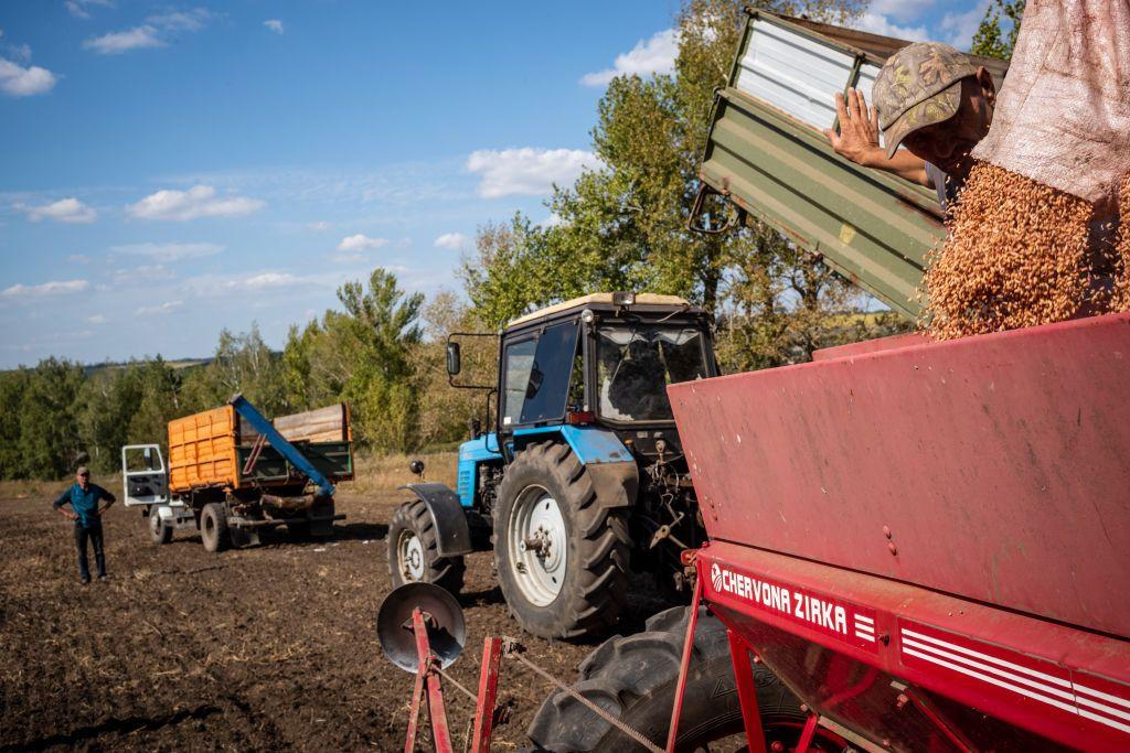 Ukrainian farmers sow 4.5 million hectares of winter crops but volumes expected to drop by 20%
