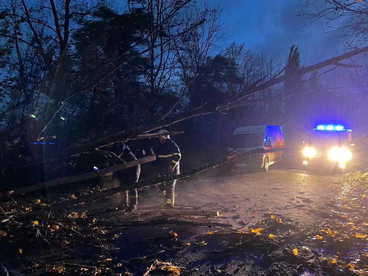 Gale-force winds batter Ukraine, 2 dead, at least 7 injured