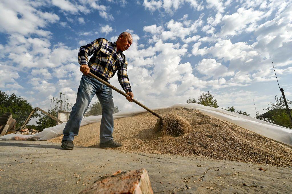Russia planned to steal grain and starve Ukrainians ahead of invasion, evidence shows