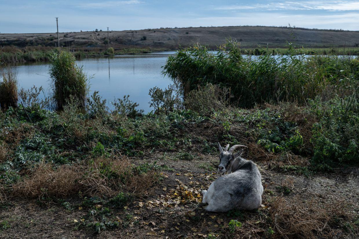 Environment Ministry: Russian invasion affects over 20% of Ukraine's conservation areas