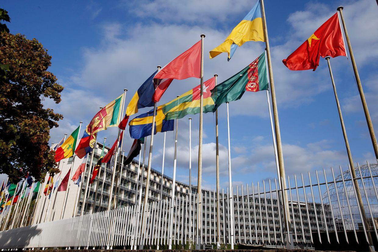 Ukraine elected to UNESCO World Heritage Committee for the first time