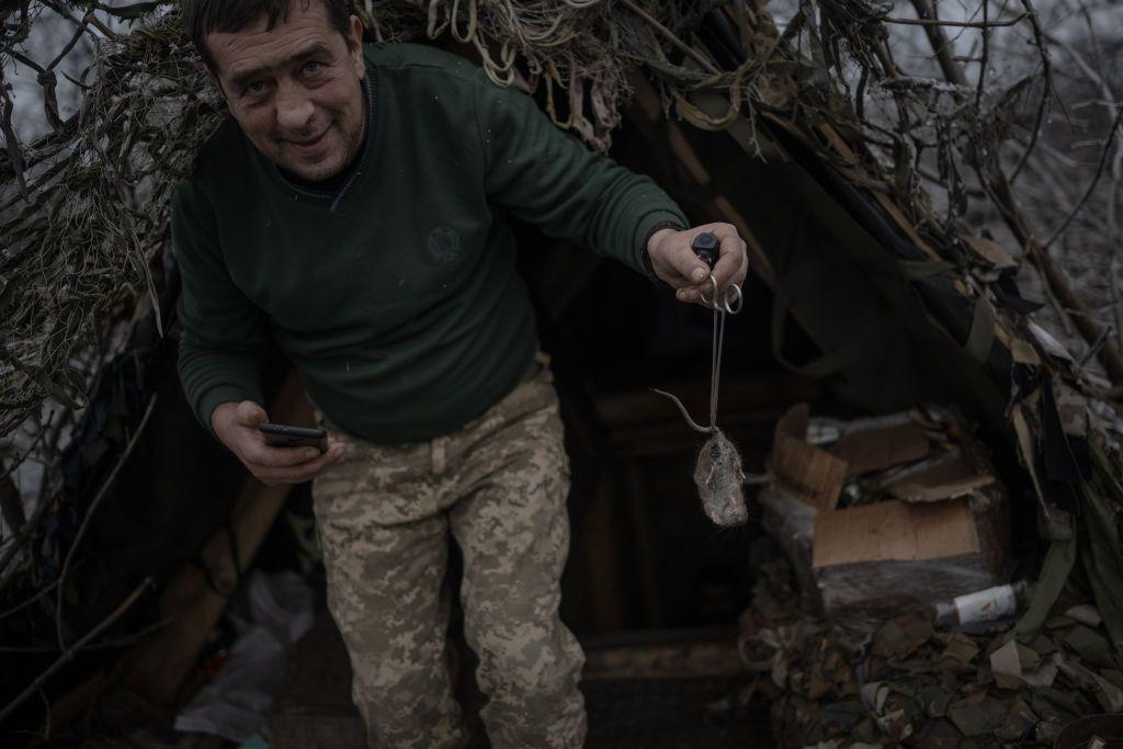 CNN: Ukraine's front lines infested with rats