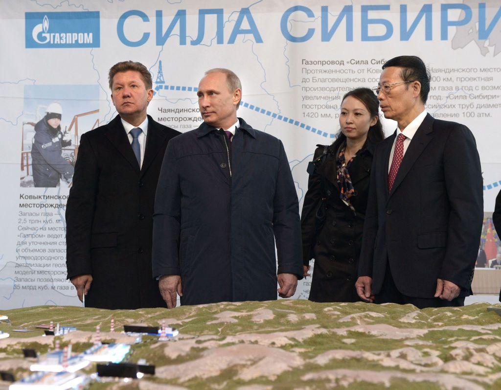 FT: Russia's proposed gas pipeline to China hindered by construction delays