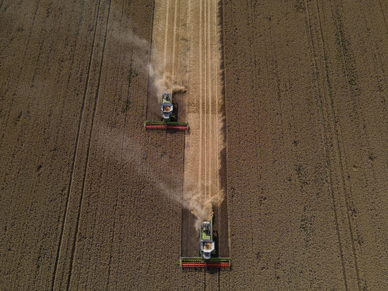 Reuters: EU to step up checks on grain exports from Ukraine to ease farmers' fears