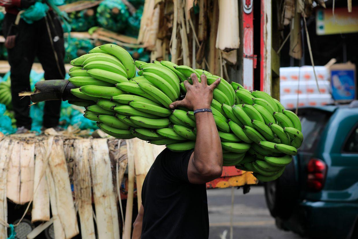 Russia limits banana imports from Ecuador amid dispute over military supplies to US for Ukraine