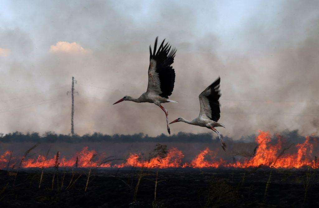Opinion: Green recovery in Ukraine is a strategic imperative for the EU