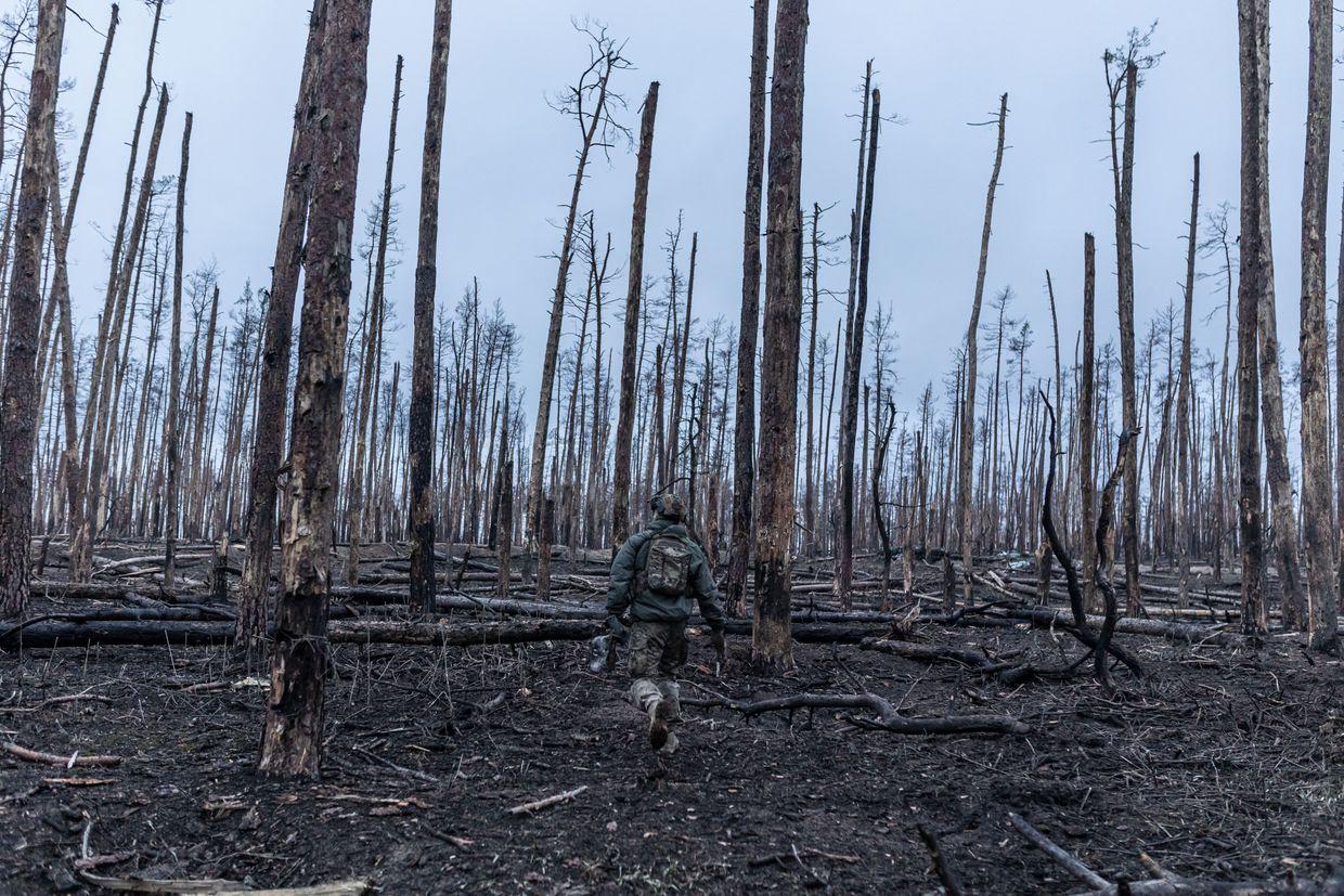 Media: Russia destroys over 60,000 hectares of Ukrainian forests