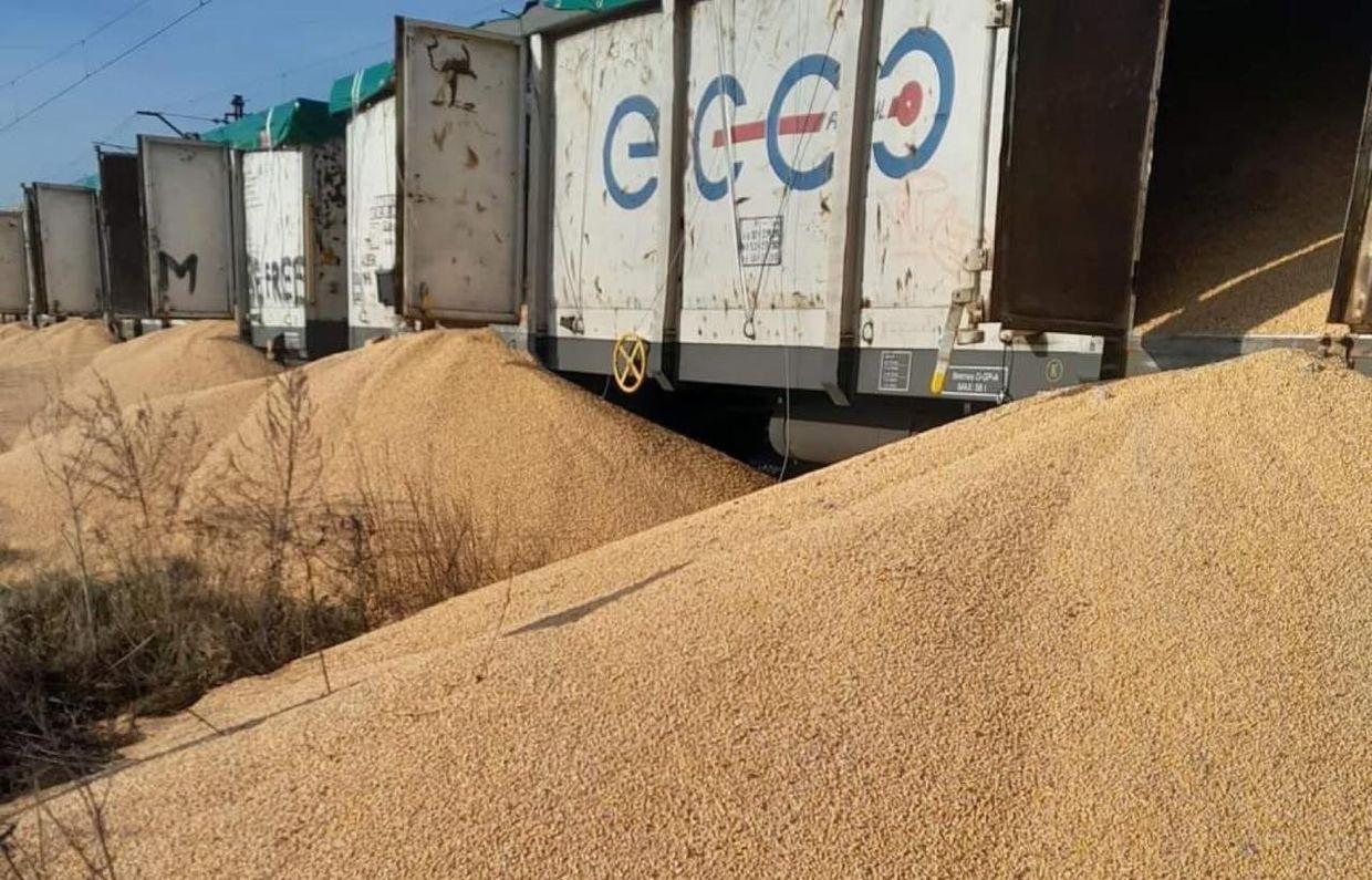 Kyiv asks Warsaw to act after 160 tons of Ukrainian grain destroyed in Poland