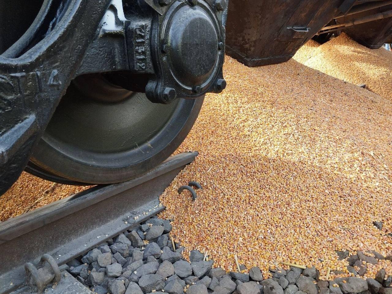 Polish farmers dump grain from train at Ukraine border crossing
