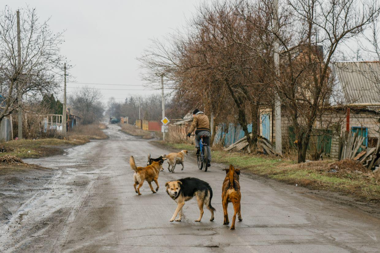After 10 years of war, Krasnohorivka in new danger as Russia advances in the east