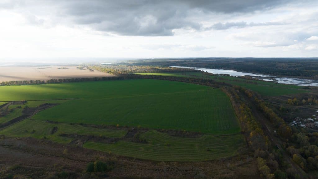 Agriculture Minister Solskyi accused of illegally appropriating more than $7 million in state-owned land