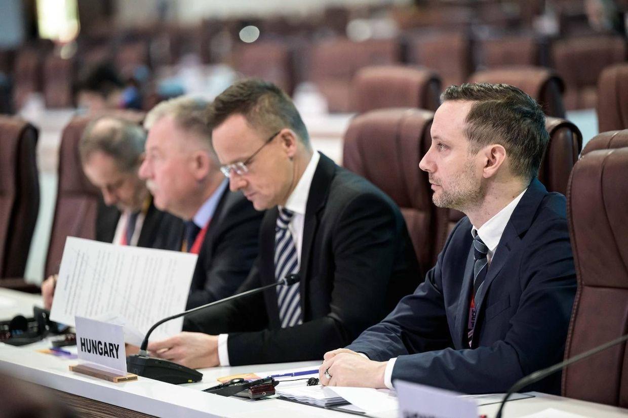 Hungarian official says 'positive signs' in talks with Ukraine on national minorities