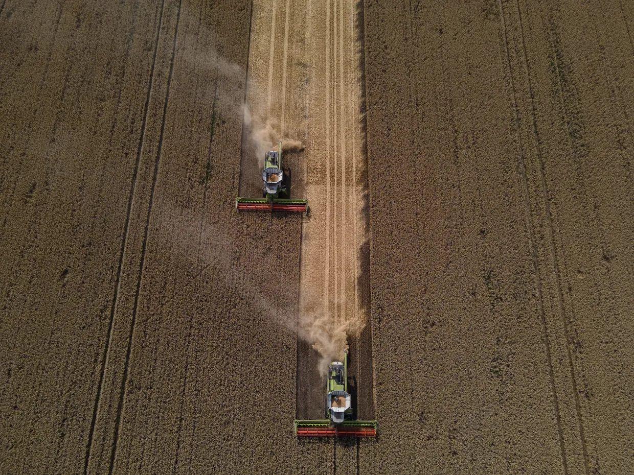 EU-Ukraine agri-trade reaches record $17 billion in 2024