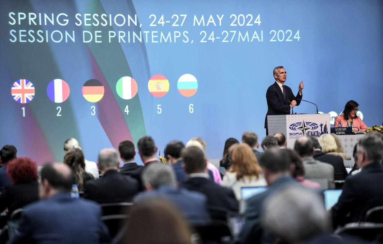 NATO Parliamentary Assembly supports Ukraine's right to hit targets inside Russia using Western arms
