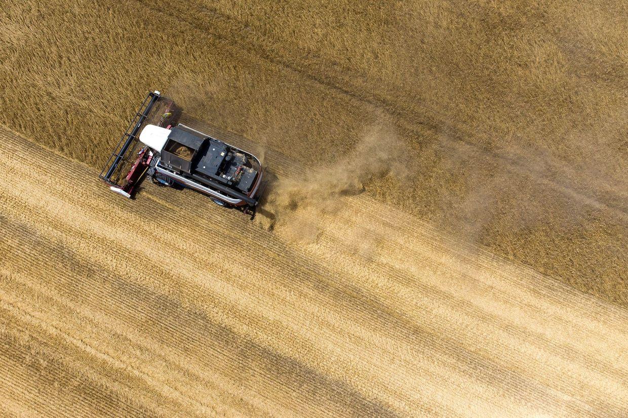 EU approves higher tariffs on Russian, Belarusian grain