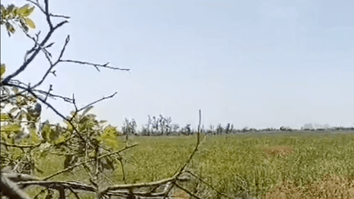 Another Russian Su-25 downed, Ukraine's National Guard claims