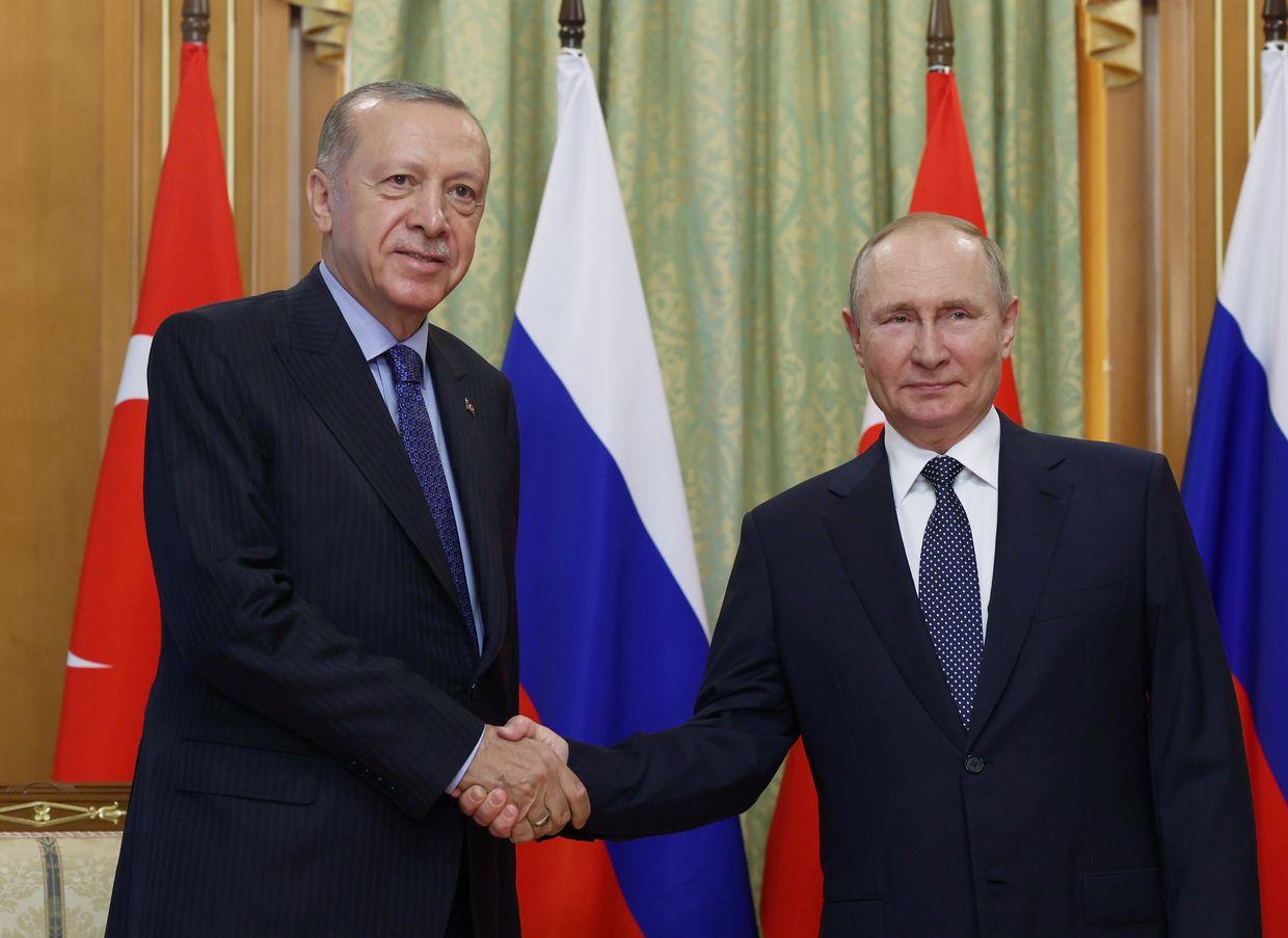 Putin, Erdogan discuss proposed Russia-Ukraine peace talks in phone call