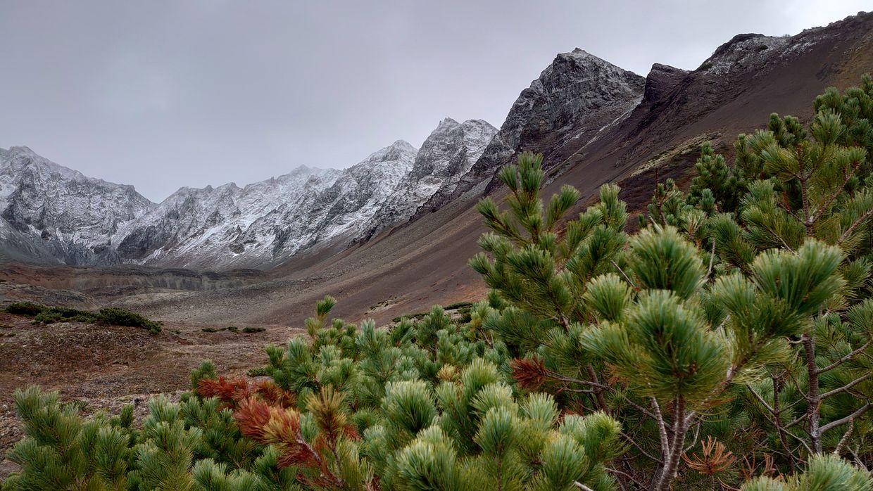 Russian Mi-8 helicopter with 22 people on board goes missing in Kamchatka, Kremlin media reports