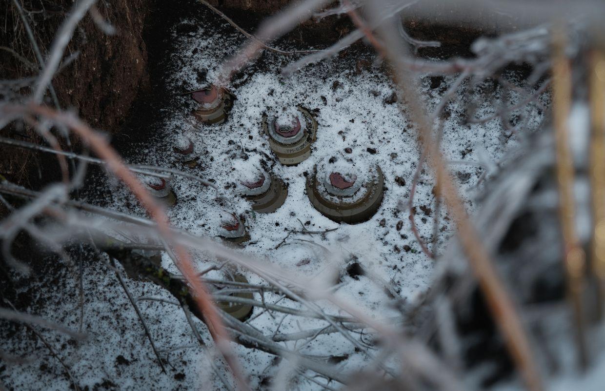 Lithuanian parliament backs denunciation of anti-personnel mine ban convention