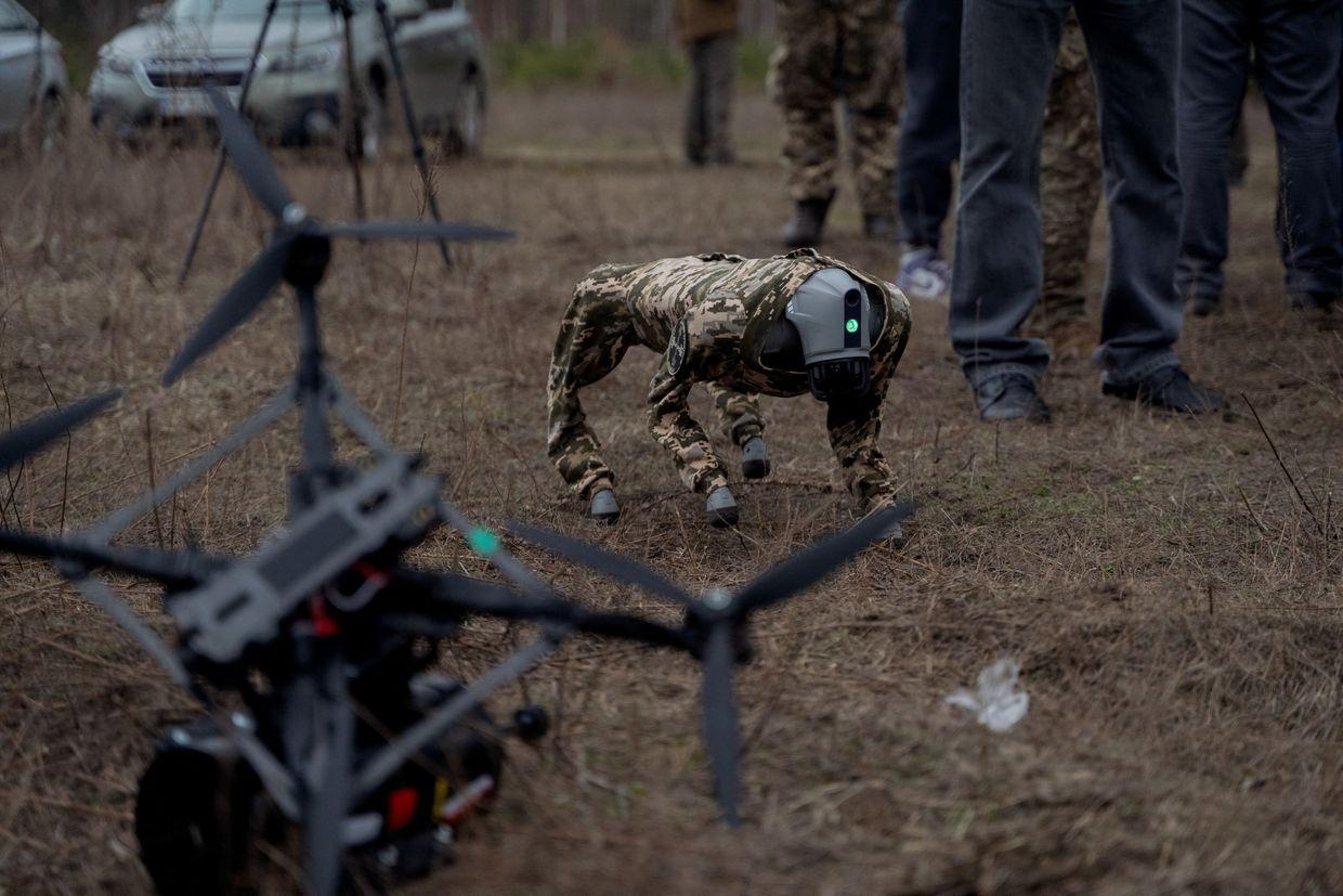 A robot dog is seen during drone tests using fiber optics at an undisclosed location in Kyiv Oblast, on Jan. 29, 2025. 