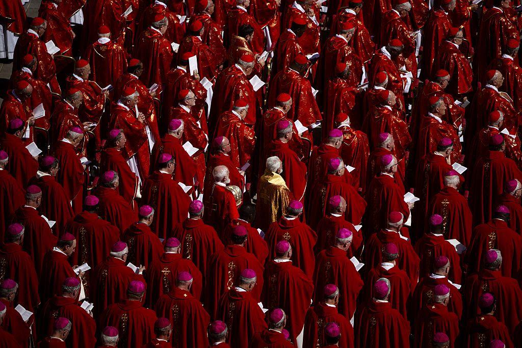 From Ukraine envoy to Orban's ally: Meet the top candidates for the papal throne