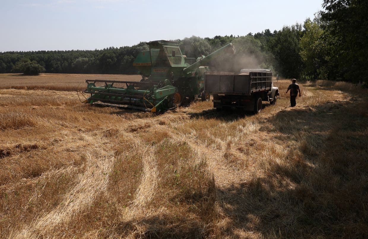 Global food prices climb to highest level since 2022 amid Black Sea strikes, UN reports