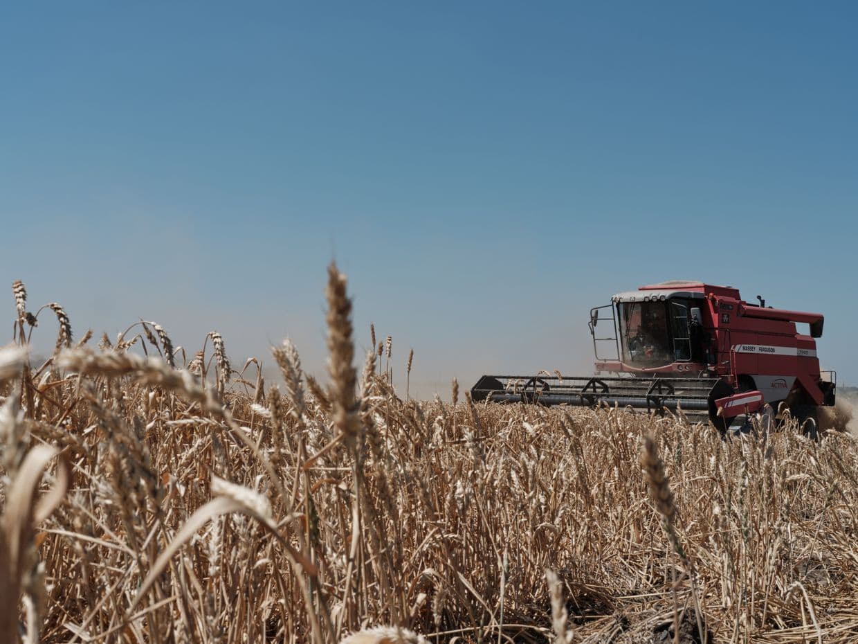 Ukraine must meet EU agricultural standards by 2028, says minister