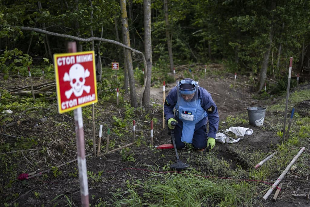 Explosive device in field kills 2 boys in Sumy Oblast