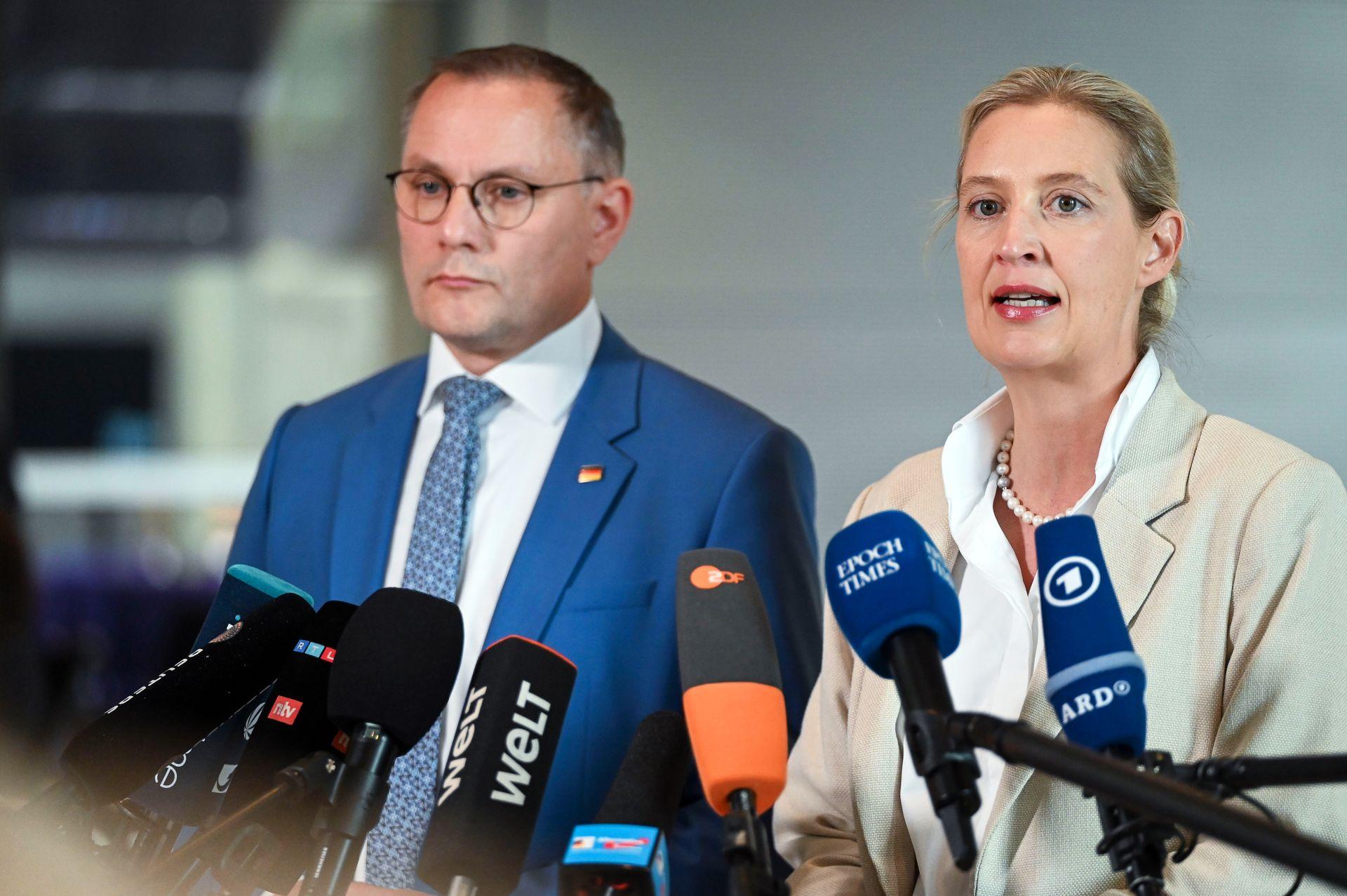 Germany's far right calls for cutting benefits for Ukrainian refugees