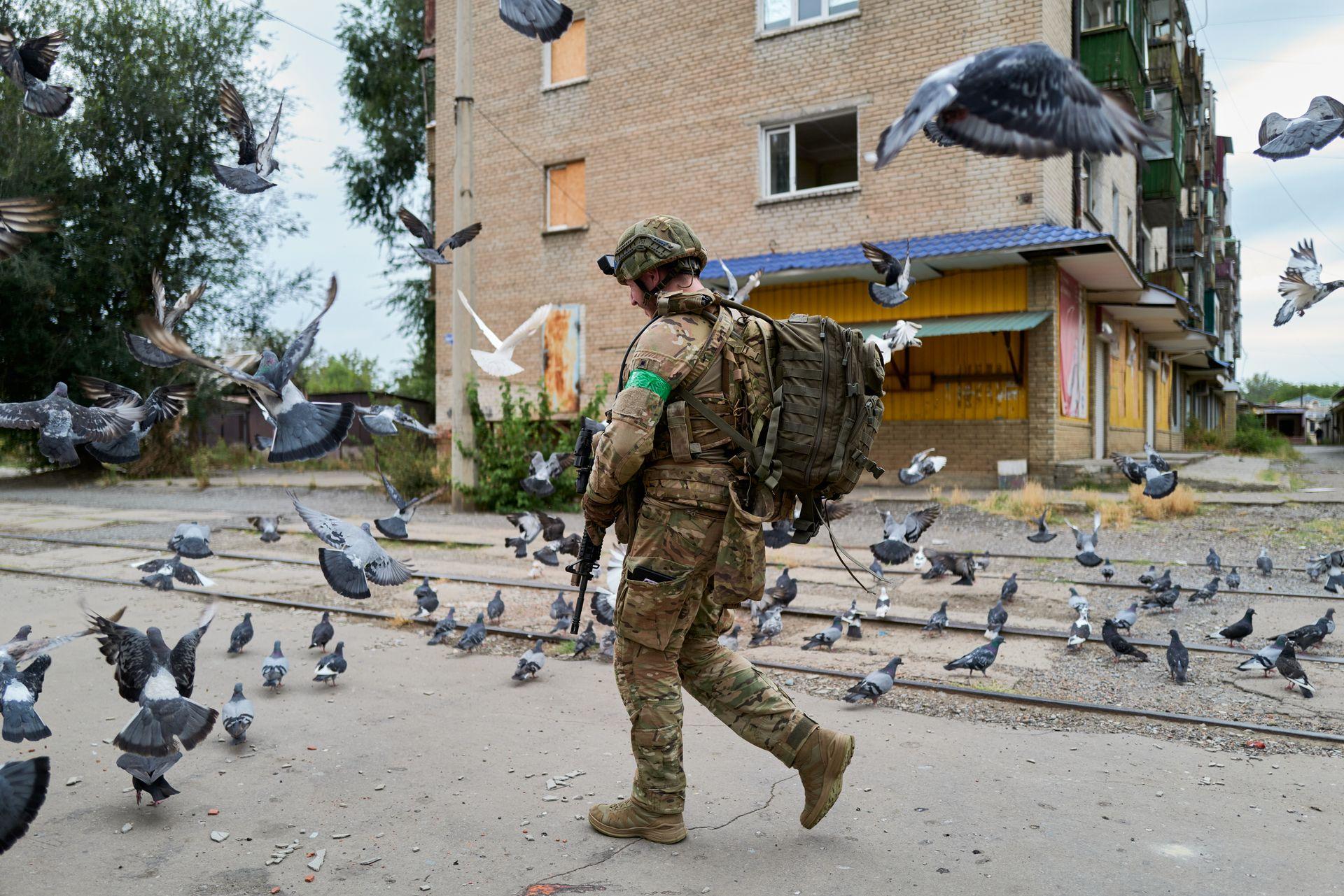 A soldier of the Armed Forces of Ukraine walks through a flock of pigeons in Kostyantynivka, Ukraine, on Aug. 11, 2025. 