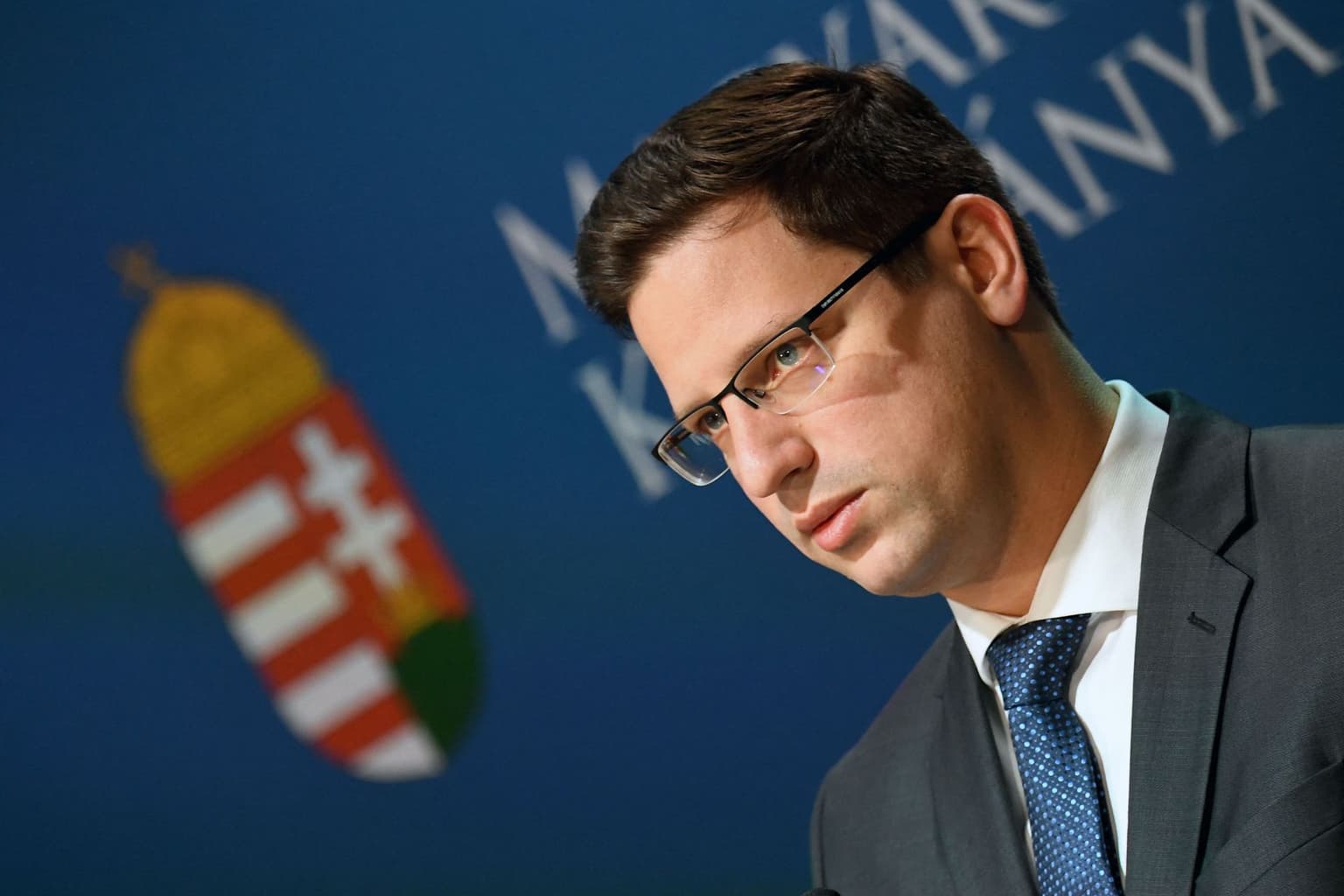 Hungary bans 12 Ukrainian media outlets