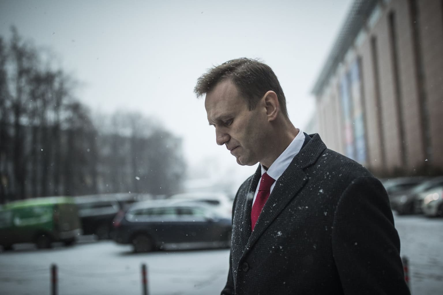 Russian oppositioner Navalny killed 'by poisoning' in 2024, widow cites Western labs